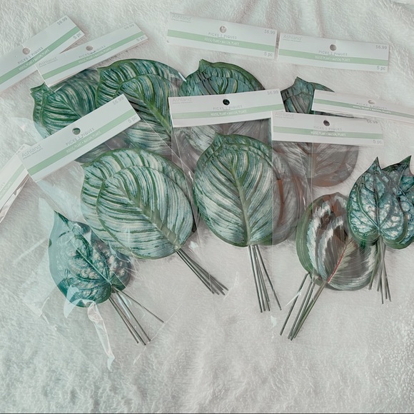 House plant leaf picks - Picture 1 of 4